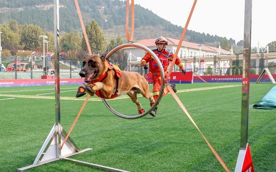 第七届全国消防搜救犬技术比武竞赛在济南开幕