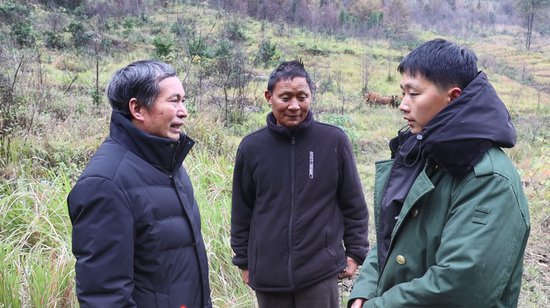 晴隆茶马镇：畜牧干部跟踪服务确保牛羊温暖过冬-新华网