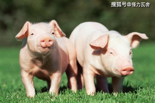 汉武帝刘彻原名刘彘，真以为是贱名好养活就错了，猪在古代是...