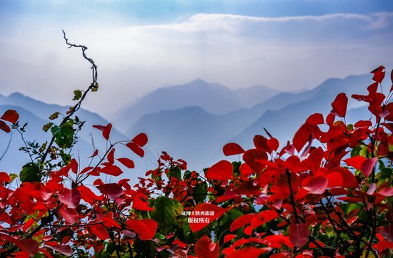 关于圭峰山秋季赏红叶的15个问题及答案，看完保证想去一次