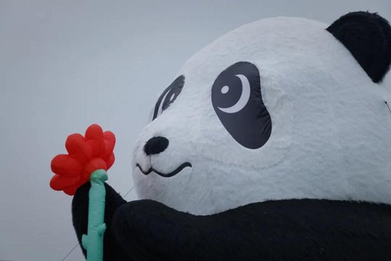 四川<em>天府新区</em>秦皇湖畔来了一只“大熊猫”