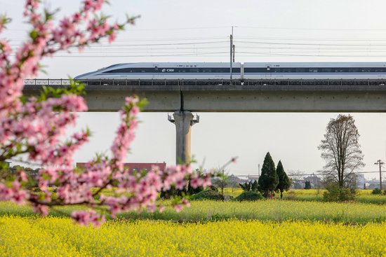 江西南昌：高铁穿越春日花海