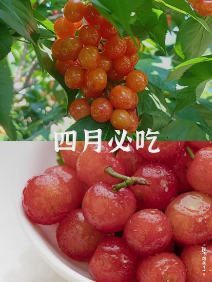 中国最好吃的当季水果，<em>北方</em>人都没见过！