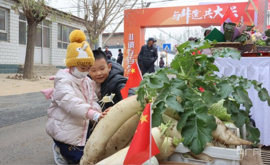 以传统文化为乡村赋能 北京大兴区非遗嘉年华主题活动启动
