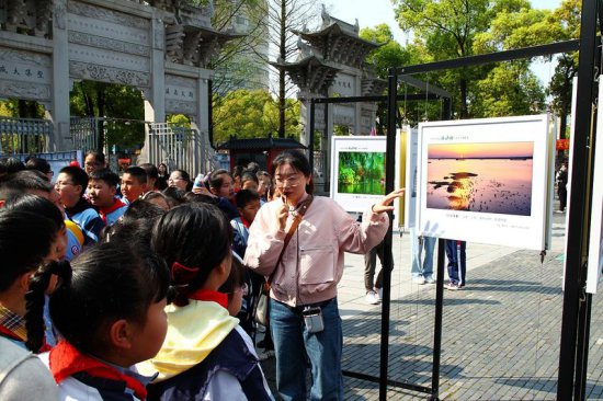 池州市首届“<em>诗</em>城飞羽”鸟类生态摄影展在市博物馆举办