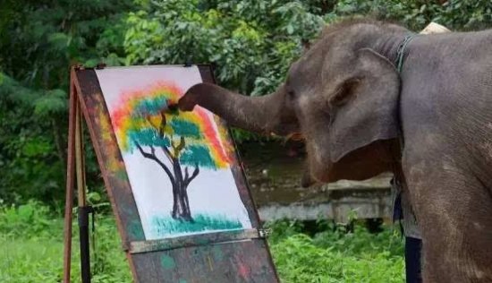 亲身<em>揭秘</em>：泰国饲养员微笑的背后，是多少“<em>大象</em>”<em>的</em>痛苦折磨？