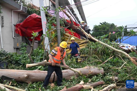 广州龙卷风致5人死亡33人受伤 灾后恢复工作正有序进行