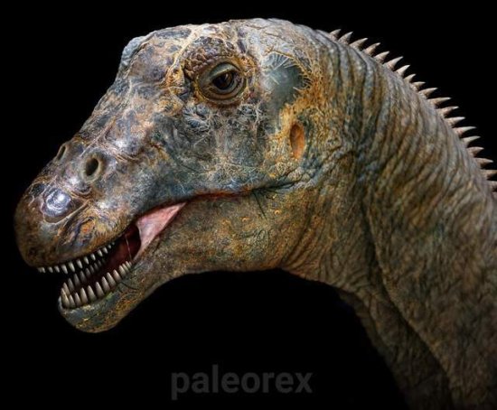 50张活久未见<em>的恐龙</em>照片，史前动物的实际<em>样子</em>，你见过几个？