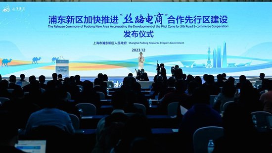 上海浦东推出系列措施 加快建设“丝路电商”合作先行区中心功能...