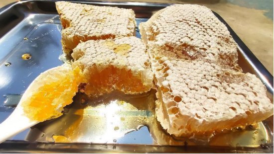 让村民日子甜甜蜜蜜！赛武当锅场村大力发展蜂蜜产业