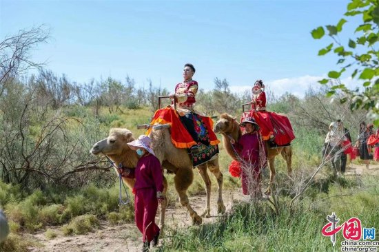 旅游<em>博主的</em>婚礼——骆驼娶亲的西北传统婚礼民俗