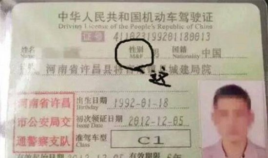 中国驾照上的“漏洞”，一直没人发现，却被一个外国人指出？