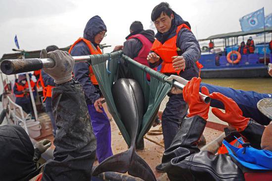 江西启动枯水期长江江豚保护红色预警