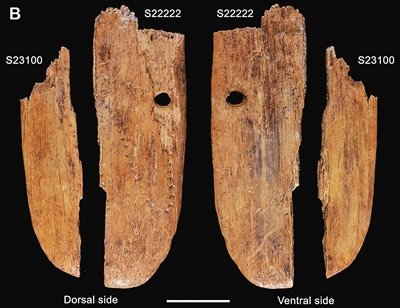 4万年前的吊坠<em>长</em>这样！欧亚大陆发现最早人类装饰珠宝