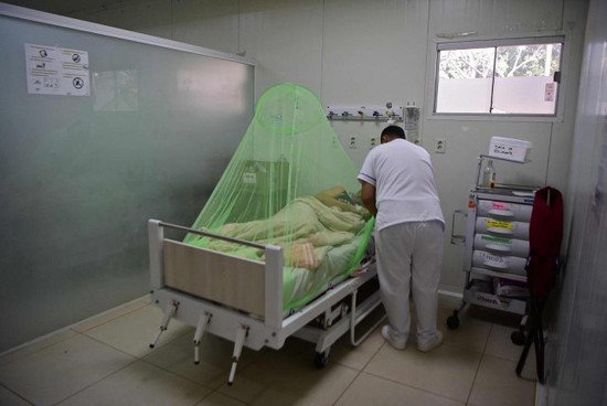 自去年9月以来巴拉圭登革热疫情已致98人死亡