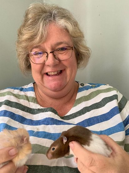 英国52岁教师为自家宠物仓鼠做迷你家具