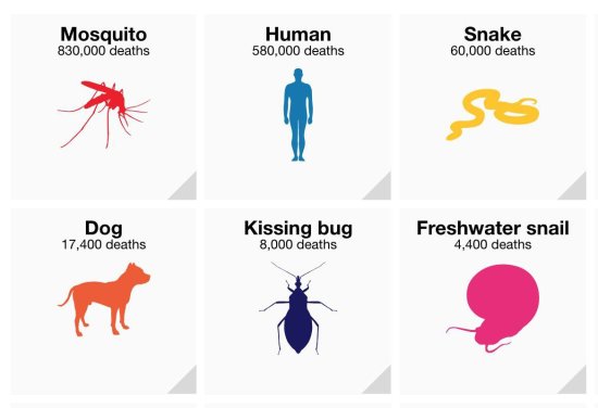 比尔·盖茨：蚊子一年带走83万条<em>人命 比</em>鲨鱼更恐怖