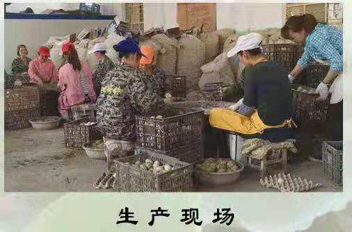 非物质文化遗址产保护项目，西乡县老传统，松花变蛋
