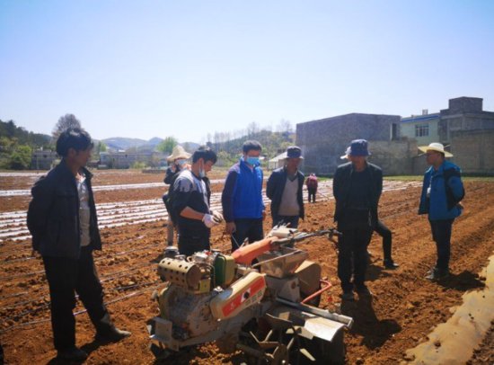 动静（贵州广播电视台官方新闻客户端）：萝卜规范化种植需要...