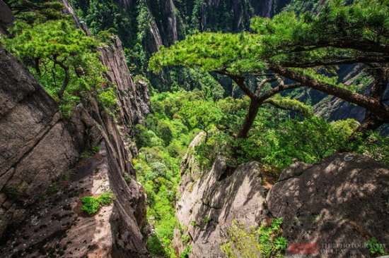 黄山最美风景不在<em>迎客松</em>，而在这片峡谷中，一般游客去的比较少