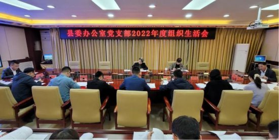 马秀兰以普通党员身份参加东乡县委办公室党支部2022年度组织...