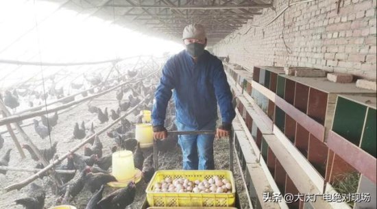 大庆创业故事〡“油二代”杨恒养鸡年销150万枚<em>鸡蛋</em>！