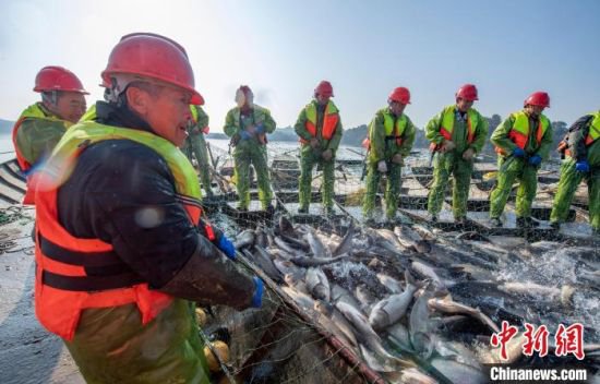 江西<em>仙女湖</em>迎新年首次巨网捕鱼 展现传统渔作景观
