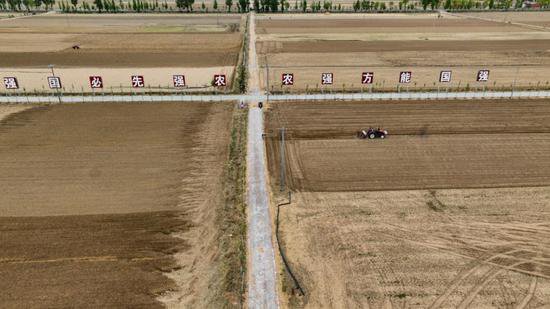 希望的田野 奋进的力量——陕西榆林农业高质量发展巡礼