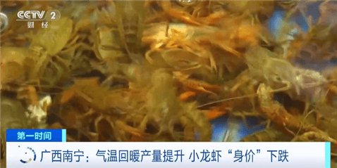 小龙虾身价暴跌10元一斤，网友：<em>麻辣小</em>龙虾我来啦！