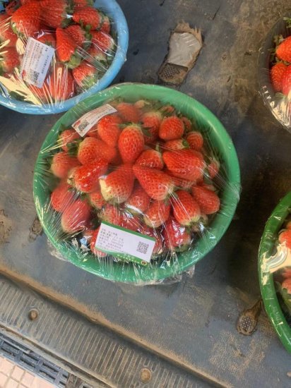 “<em>草莓</em>致出血热”谣言阴影下的西安<em>草莓种植</em>户：价格降一半也卖...