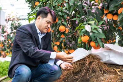 <em>台州</em>黄岩：以新乡贤力量创新带动特色农产业升级