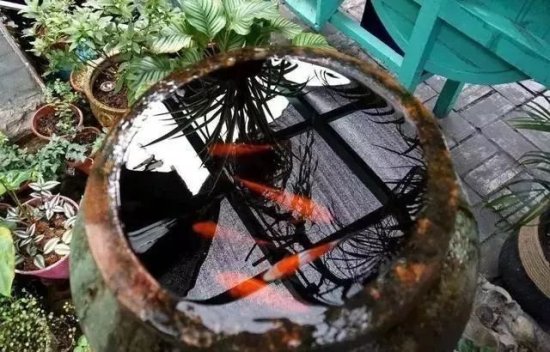 中国老宅为什么喜欢在院子里<em>放</em>水缸？