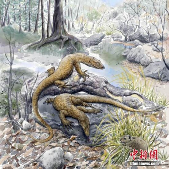 中国最新研究发现5200多万年前始祖巨蜥化石 实证巨蜥亚洲<em>起源</em>