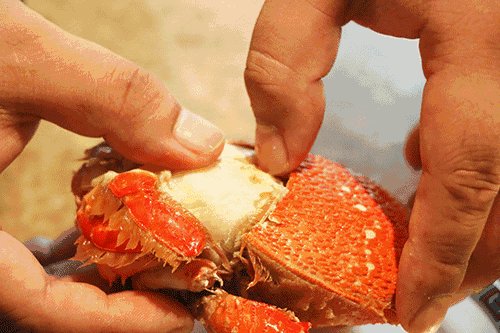 <em>湖南哪里的</em>螃蟹最好吃？为你奉上这份《吃蟹地图》，请查收！