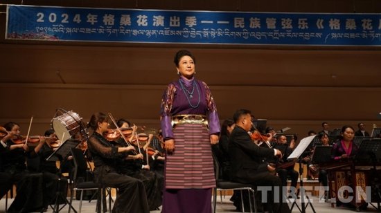 “格桑花儿向阳开”音乐会在西藏<em>大</em>剧院上演