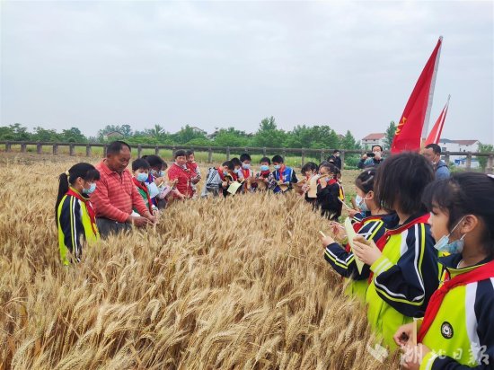 徒步1.2公里，<em>带</em>孩子去看麦子！武汉这所小学将劳动课搬到麦地