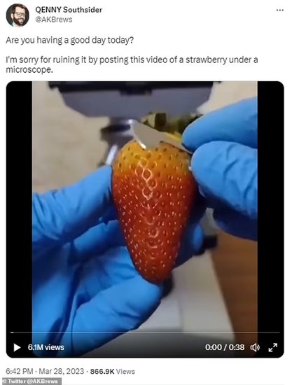 未清洗的草莓隐藏着螨虫！专家说食用这些<em>虫子</em>并没有什么害处
