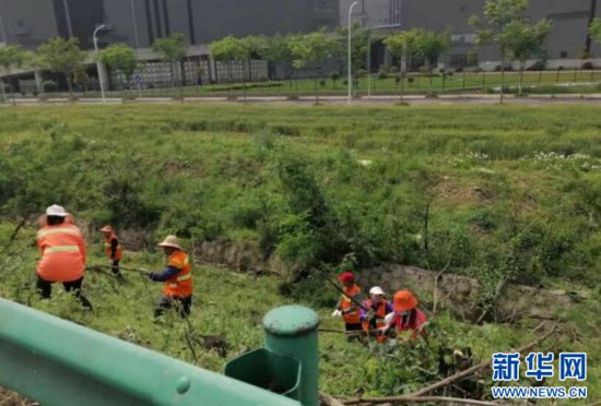 武汉<em>东西湖</em>：整治高速匝道环境卫生 提升城市“颜值”