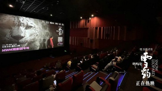 万玛才旦高口碑电影《雪豹》路演 影片价值表达获观众盛赞