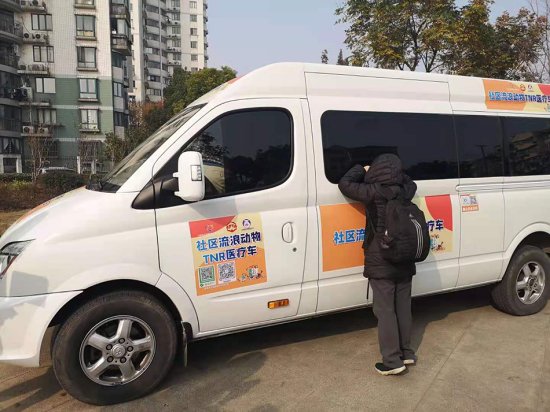 上海首辆流浪猫移动绝育手术车进社区，4只流浪<em>公猫</em>完成手术
