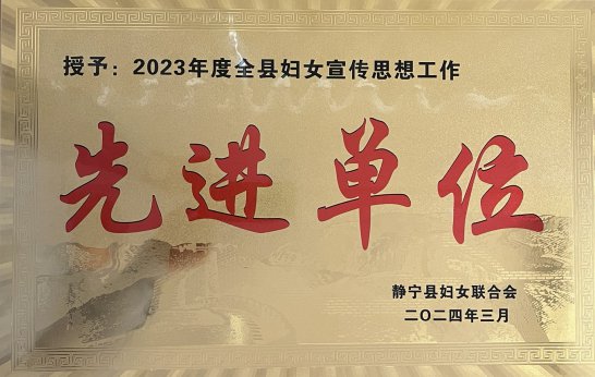 静宁县税务局荣获多项地方表彰