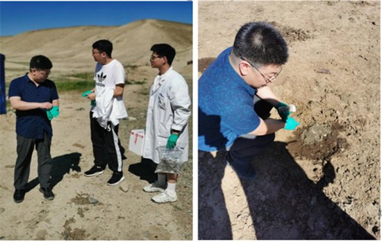 新疆骆驼乳工程技术研究中心：引领新疆骆驼奶行业迈向<em>新纪元</em>