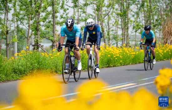 <em>自行车</em>——第十五届环高邮湖<em>自行车</em>赛开赛
