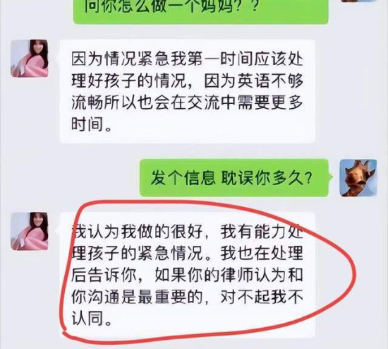 <em>张恒</em>控诉郑爽虐待儿童后续，他已提起诉讼，孩子受伤照片细节...