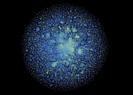 总编辑圈点|“阿尔法折叠”迎来对手新AI预测微生物六亿多蛋白...