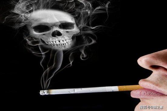 趣谈吸烟：发明抽烟的鼻祖是谁？中国人什么时候学会吸烟的？