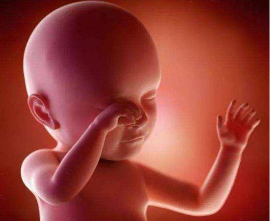 胎儿这个器官是否发育完全，是决定胎儿<em>出生时间</em>的关键，你<em>知道</em>...