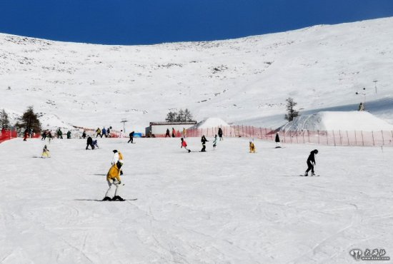 别人家的寒假！新疆富蕴青少年家门口滑雪忙
