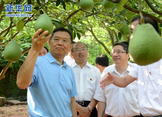 精深加工破局 广安龙安柚饮料下月正式投产