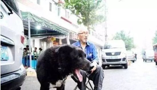 70岁老人：我走了，我的狗狗<em>怎么办</em>？会有人和我一样照顾它吗？